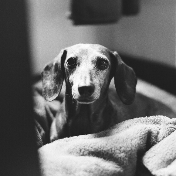 Meet your Posher, Shane - Picture 1 of 1